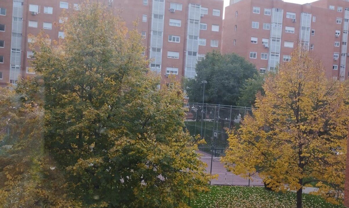 WhatsApp Image 2025-07-28 at 19.30.35 (3)